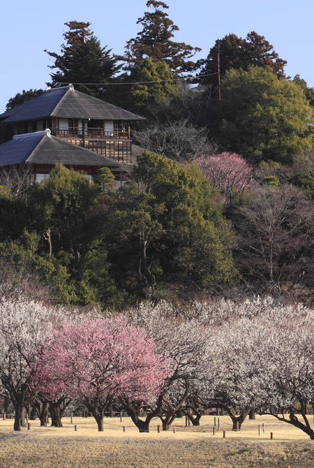 康輝旅遊網日本