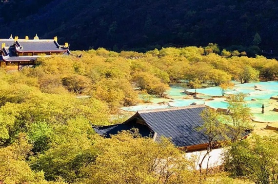 康輝旅遊網《國(guó)内遊》鄭州出發(fā)四川雙高6日遊 A、B線自由選擇 成(chéng)都(dōu)自由行+都(dōu)江堰+松潘古城+九寨溝+黃龍+熊貓基地/樂山大佛+三星堆/黃龍溪古鎮