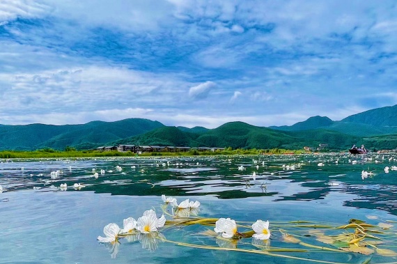 康輝旅遊網【浪漫雲南行·愛必濃】麗江起(qǐ)止麗江+大理+泸沽湖5晚6天蜜月遊<濃情蜜意大床房,洱海雪山雙旅拍,交杯下午茶>