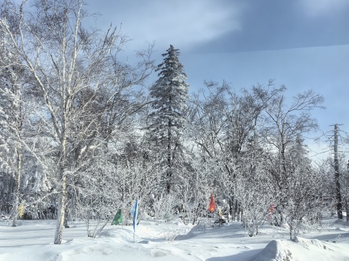 康輝旅遊網<野性 勘察加>全國(guó)直飛海參崴，私人訂制，8天世界東極的奇遇。冰與火之歌，米-8直升機庫頁湖/觀棕熊捕魚+達琴尼間歇泉谷徒步+出海巡遊阿瓦琴灣+攀登戈列雷火山+快河漂流/馬裡(lǐ)奇野溫泉