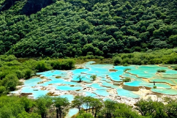 康輝旅遊網<國(guó)内遊>鄭州往返四川九寨+黃龍+都(dōu)江堰+熊貓樂園+峨眉山+樂山大佛雙高7日遊（四川深度遊/九寨溝 黃龍峨眉 樂山一網打盡）