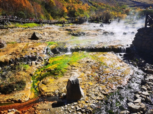 康輝旅遊網<經(jīng)典璀璨江西>廣州出發(fā) 望仙谷、葛仙村、婺源篁嶺、婺女洲、南昌萬壽宮雙高5天